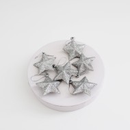 Dekors Ziemassvētku zvaigznes, 6gab,d-2,5cm., "silver"