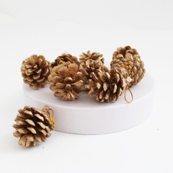 Dried seedcones 9pcs,gold