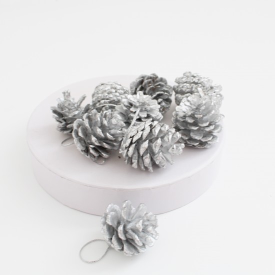 Dried seedcones 9pcs, silver