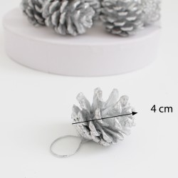 Dried seedcones 9pcs, silver