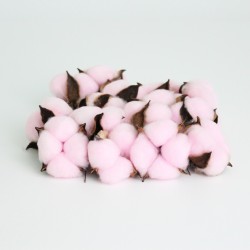 Cotton pink 15pcs