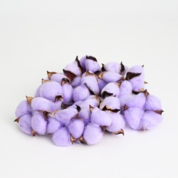 Cotton violet 15pcs