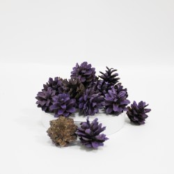 Dried natural Pine Cones 20pcs,violet
