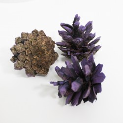Dried natural Pine Cones 20pcs,violet