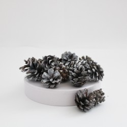 Dried natural Pine Cones 20pcs,white