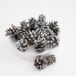 Dried natural Pine Cones 20pcs,white