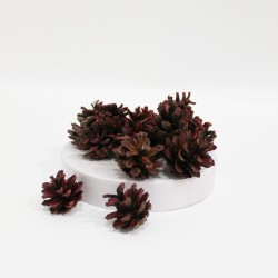 Dried natural Pine Cones 20pcs,red