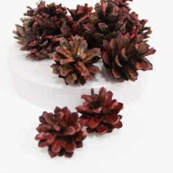 Dried natural Pine Cones 20pcs,red
