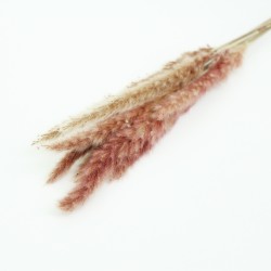 Dried flowers 10pcs, natural