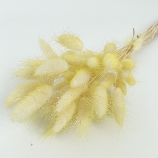 Сухоцвет лагурус 40гр "ombre color"