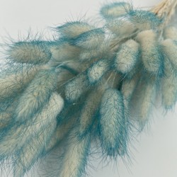 Dried lagurus ombre color 40g 