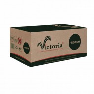 Floral foam VICTORIA premium 20pcs