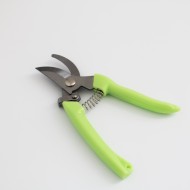 Secateurs, color light green