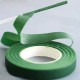 Teiplente "green"