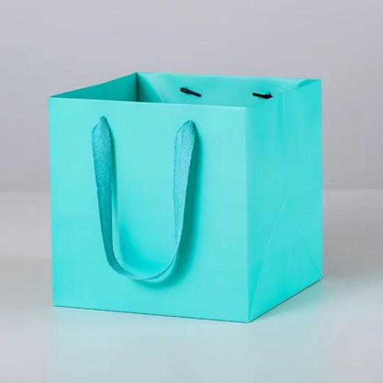 Paper gift bag 15*15*15cm 1pcs, blue-green