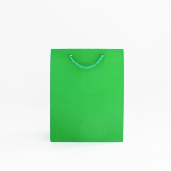 Paper gift bag 10*18*23cm 1pcs, green