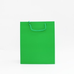 Paper gift bag 12*26*32cm 1pcs, green