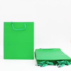 Paper gift bag 12*26*32cm 12pcs,green