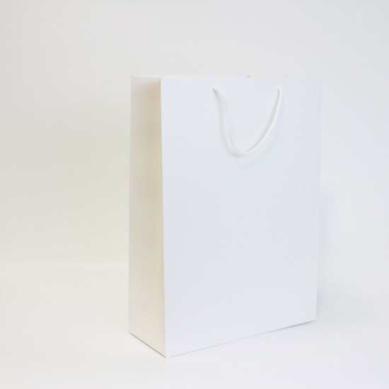 Paper gift bag 12*31*42cm 1pcs