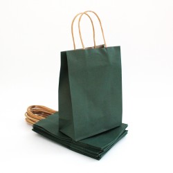 Papīra maiss ar vītiem rokturiem 27*21*11cm, 12gab.,green