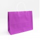 Paper bag with twisted handles 25*31*11.5 cm, 12 pcs