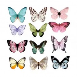 Accessories butterfly ,mix color, size from 9 till 12cm,  32pcs