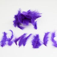 Dekoratīvas spalvas 7-15cm, 10gr.,''violet"