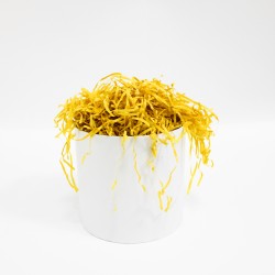 Papīra skaidas 100g